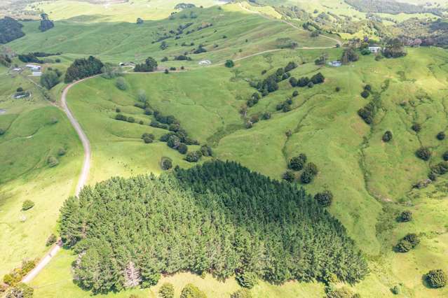 Mangarata Block Road (19.41 ha) Tangiteroria_1