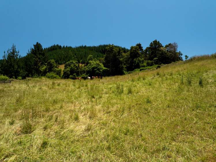 240 Teapot Valley Road Brightwater_34