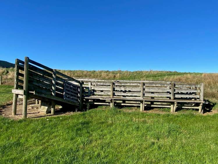 34 Bidston Street Outram_9