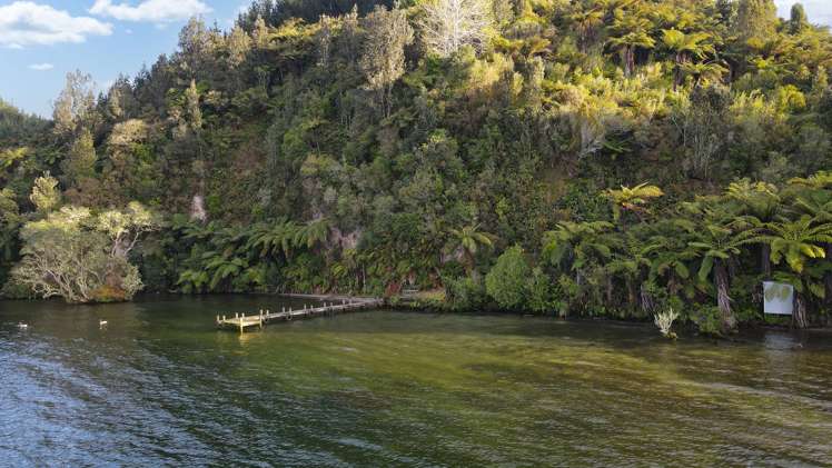 364 Maniatutu Road Rotoiti_36