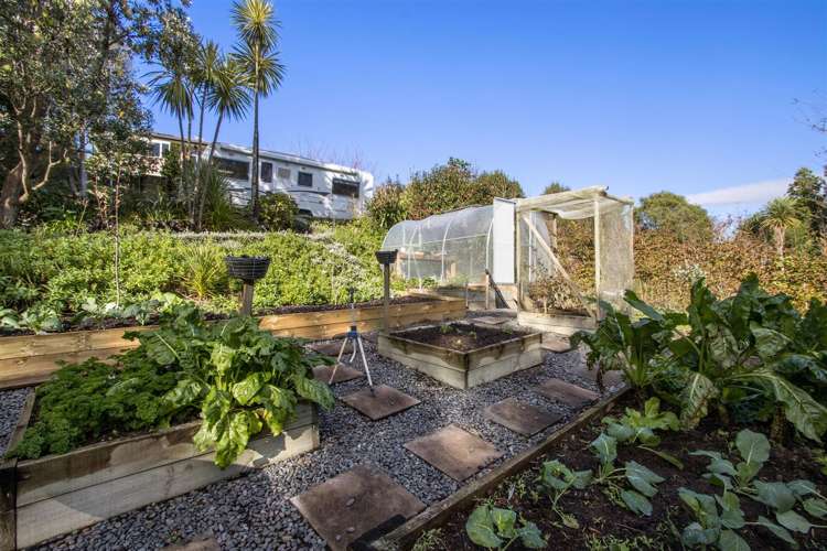 12 Lansdowne Road Katikati_16