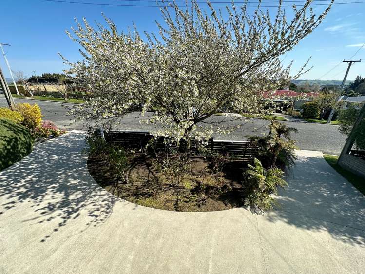 10 Cherry Lane Balclutha_29