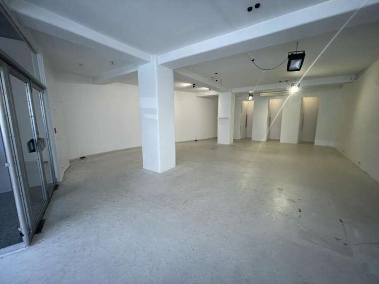 1,2/126 Wakefield Street Te Aro_2