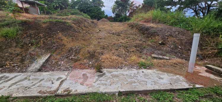 Address withheld Sigatoka_6
