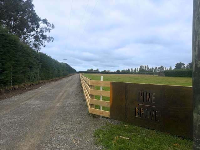 Build Your Dream Home at Pine Grove Estate