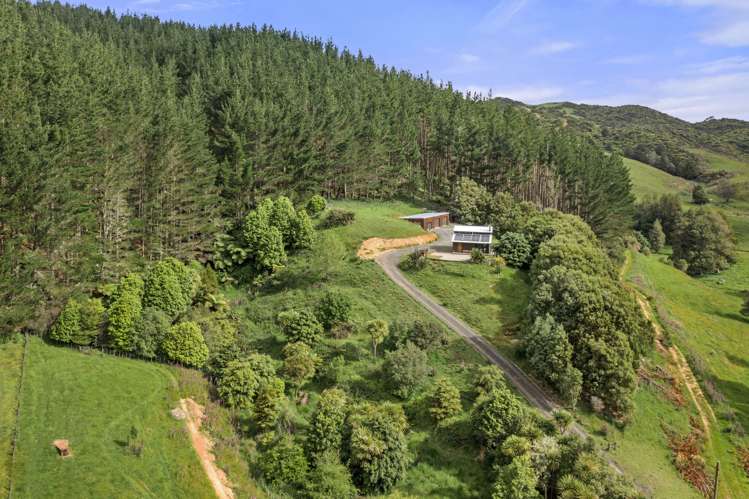 843 Old Mountain Road Raglan_24