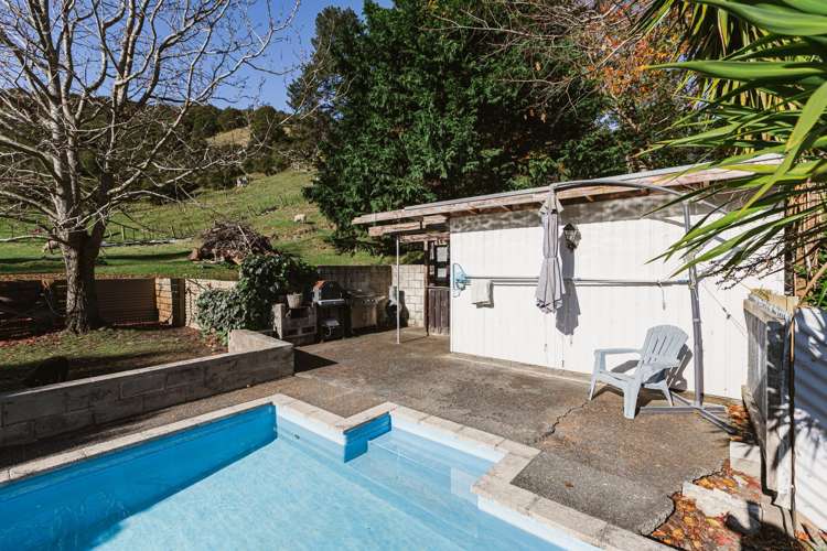 164 Hill Road Eskdale_6