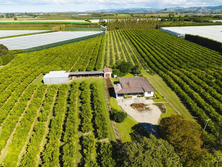 75 Brown Road Ormond_4