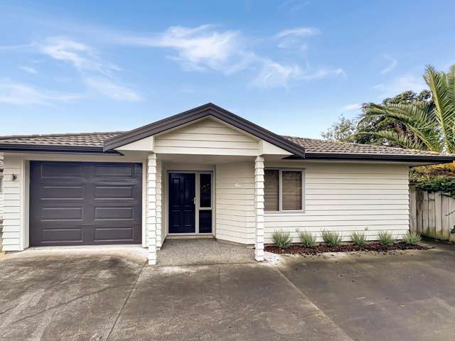 66B Totara Street 1230_1