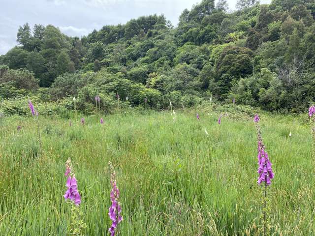 Upper Buller Gorge Road, Inangahua Reefton_4