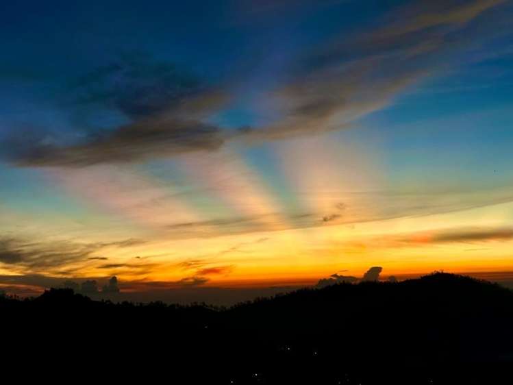 21 Darlington Place Glendene_8