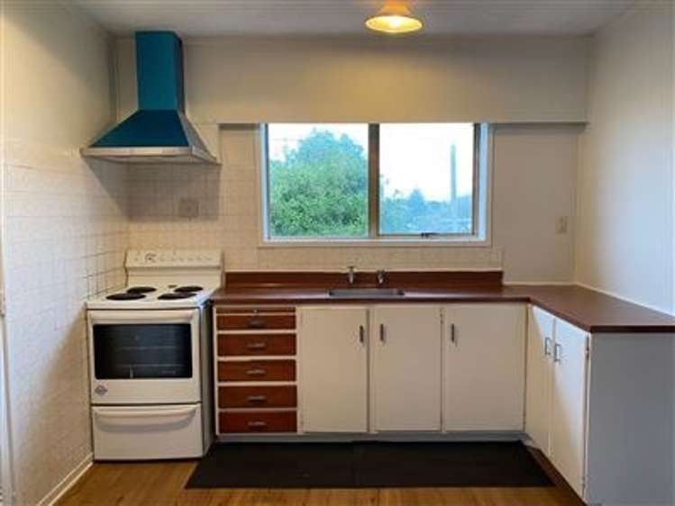 109 Lincoln Park Ave front house Massey_9