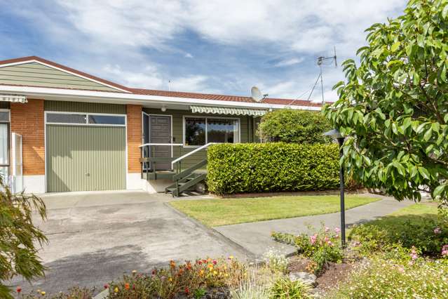 2/11 McHardy Street Havelock North_1