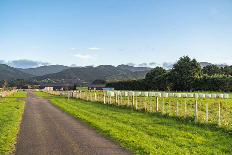 64b Thomas Road Carterton_7