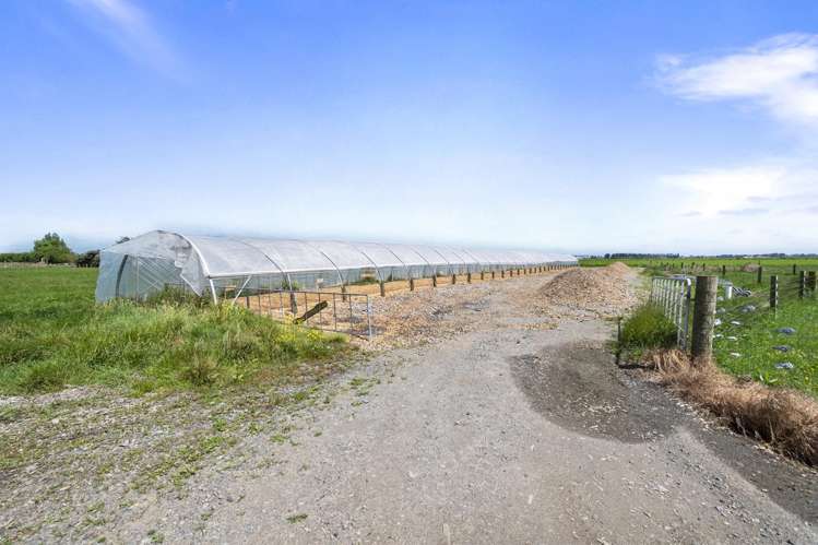 145 Campbells Road Opiki_12