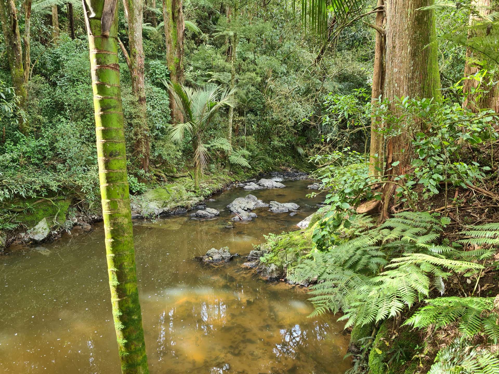 Lot 1/675 Gorge Road Maungaturoto_0