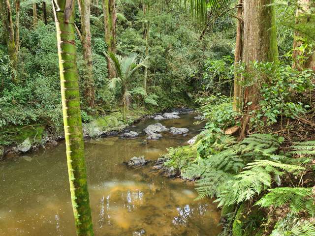 Bush, Water, Peace and Private