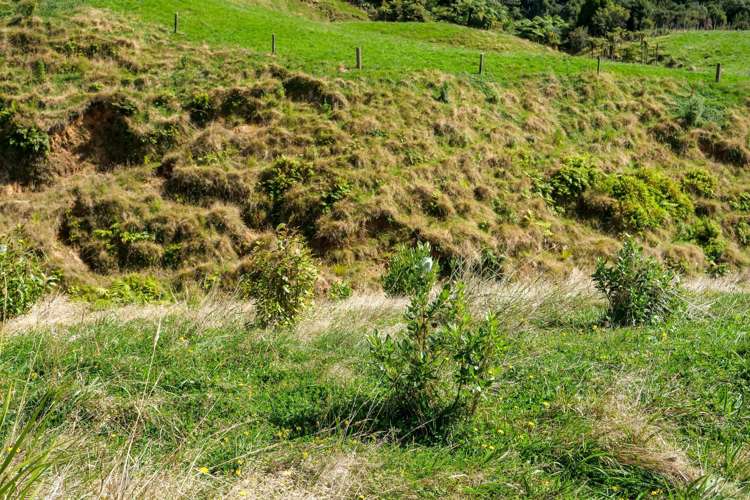 530 Soldiers Road Lower Kaimai_17