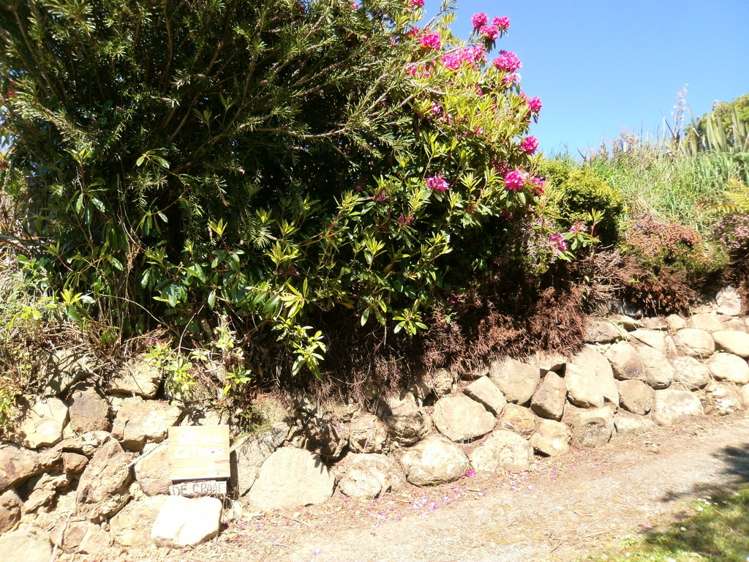 10 Chaslands Highway Papatowai/Pounawea_19