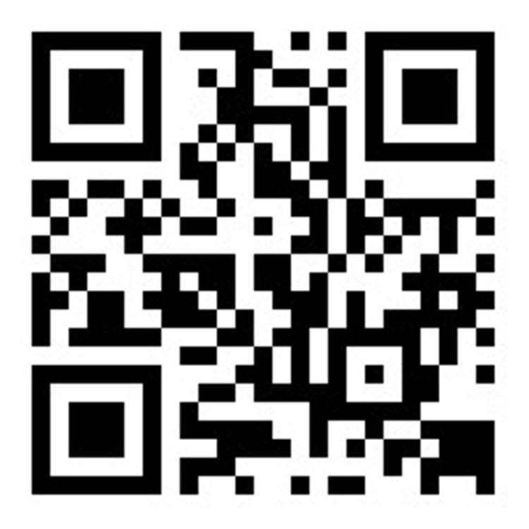 376 Dunns Crossing Road Rolleston_12