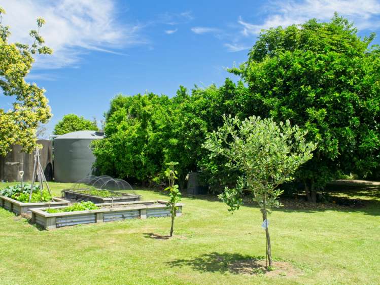 111 Glenelg Road Makauri_16