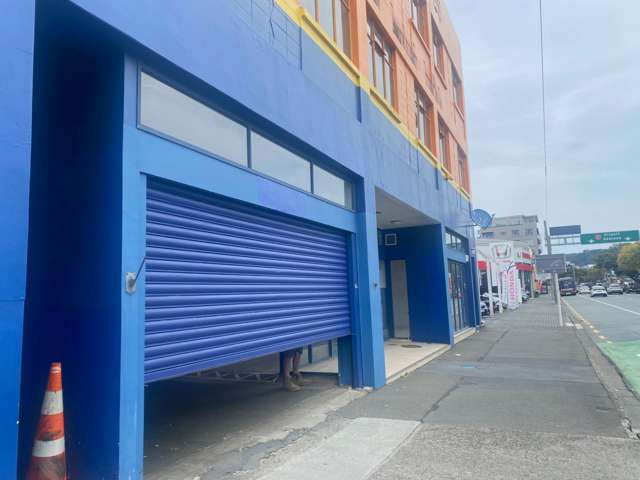 Ground/59 Kent Terrace Te Aro_2