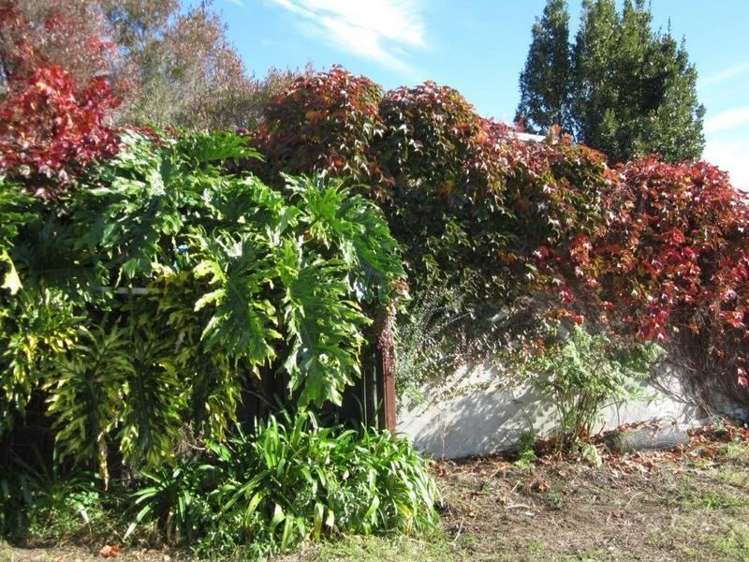 110b Williams Street Cambridge_5