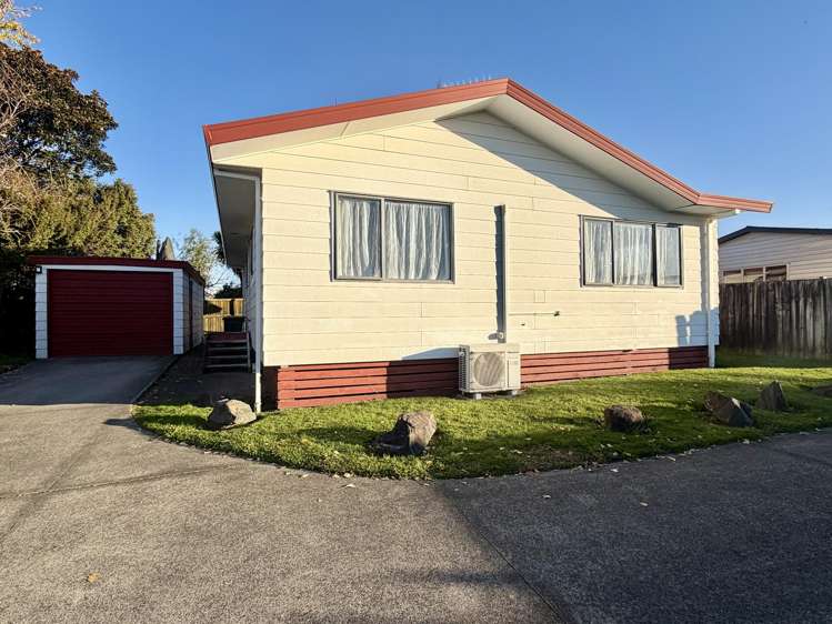 53A No 3 Road Te Puke_2