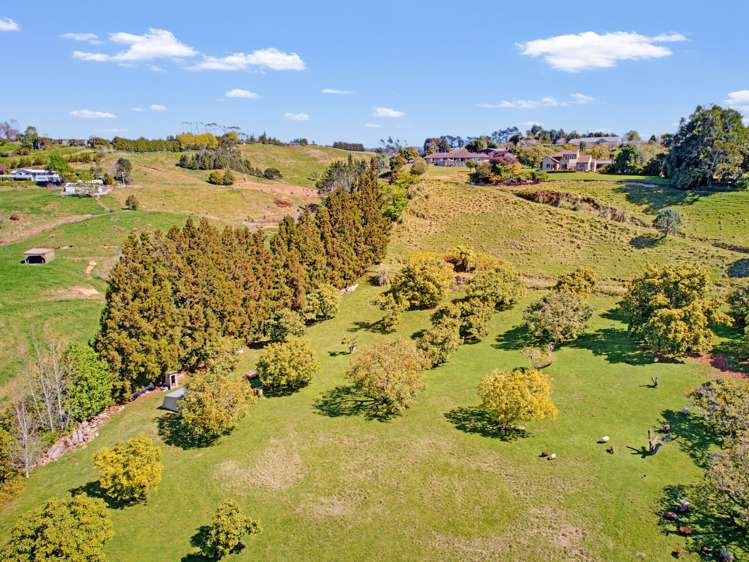 233 Waipapa Block Road Whakamarama_30