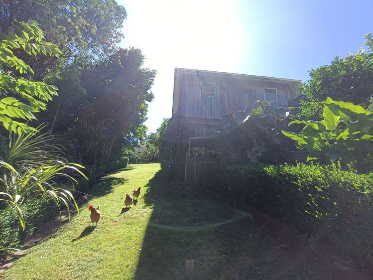 16a Russell Drive Oakura_17