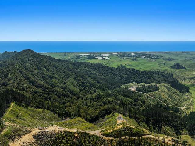 Gaskill Road Tirohanga_2