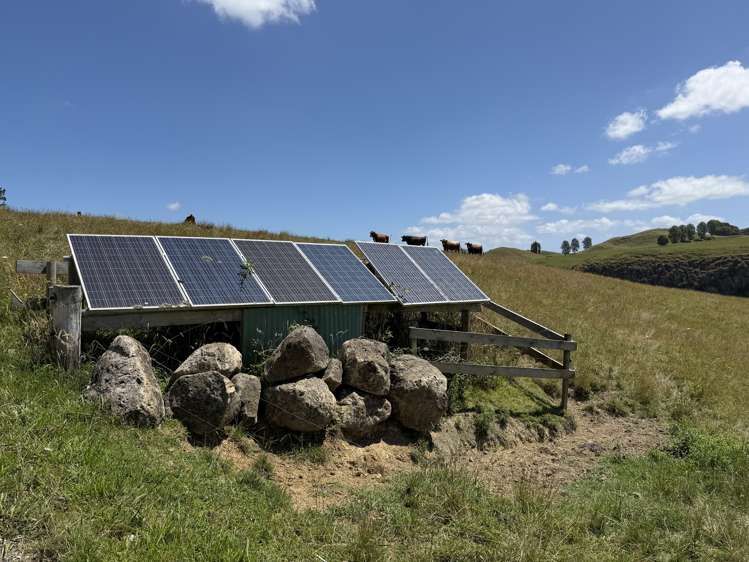 Kahuwera Road Piopio_26