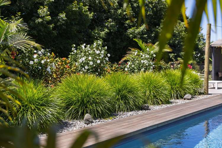 28 Melville Road Omanawa_18