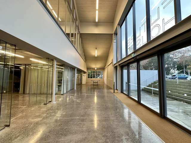 24 Balfour Road Parnell_2