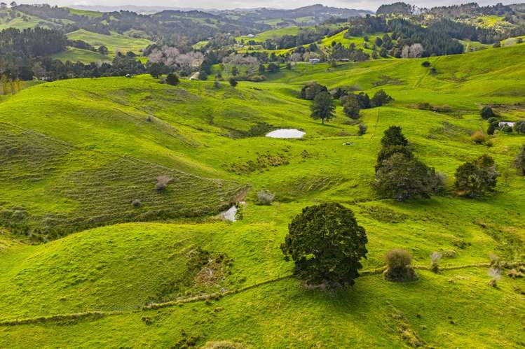 118 Paparoa Station Road Paparoa_19