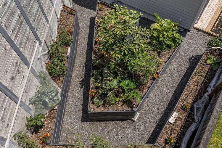 68 Adler Drive Ohauiti_22