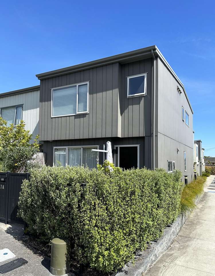 7A New Windsor Road Avondale_11