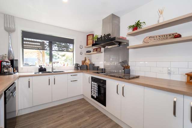 20a David Street Hinds_1