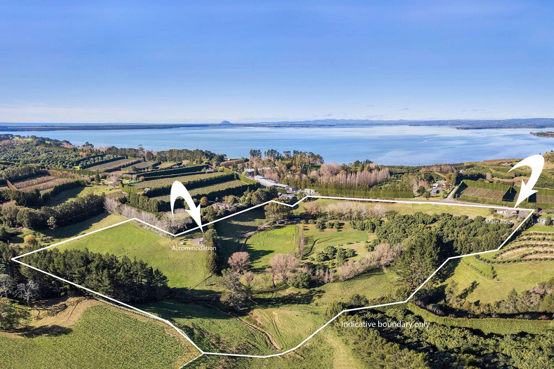 303 Kauri Point Road Kauri Point_0