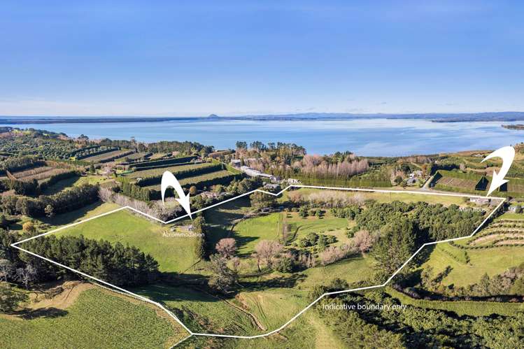 303 Kauri Point Road_0