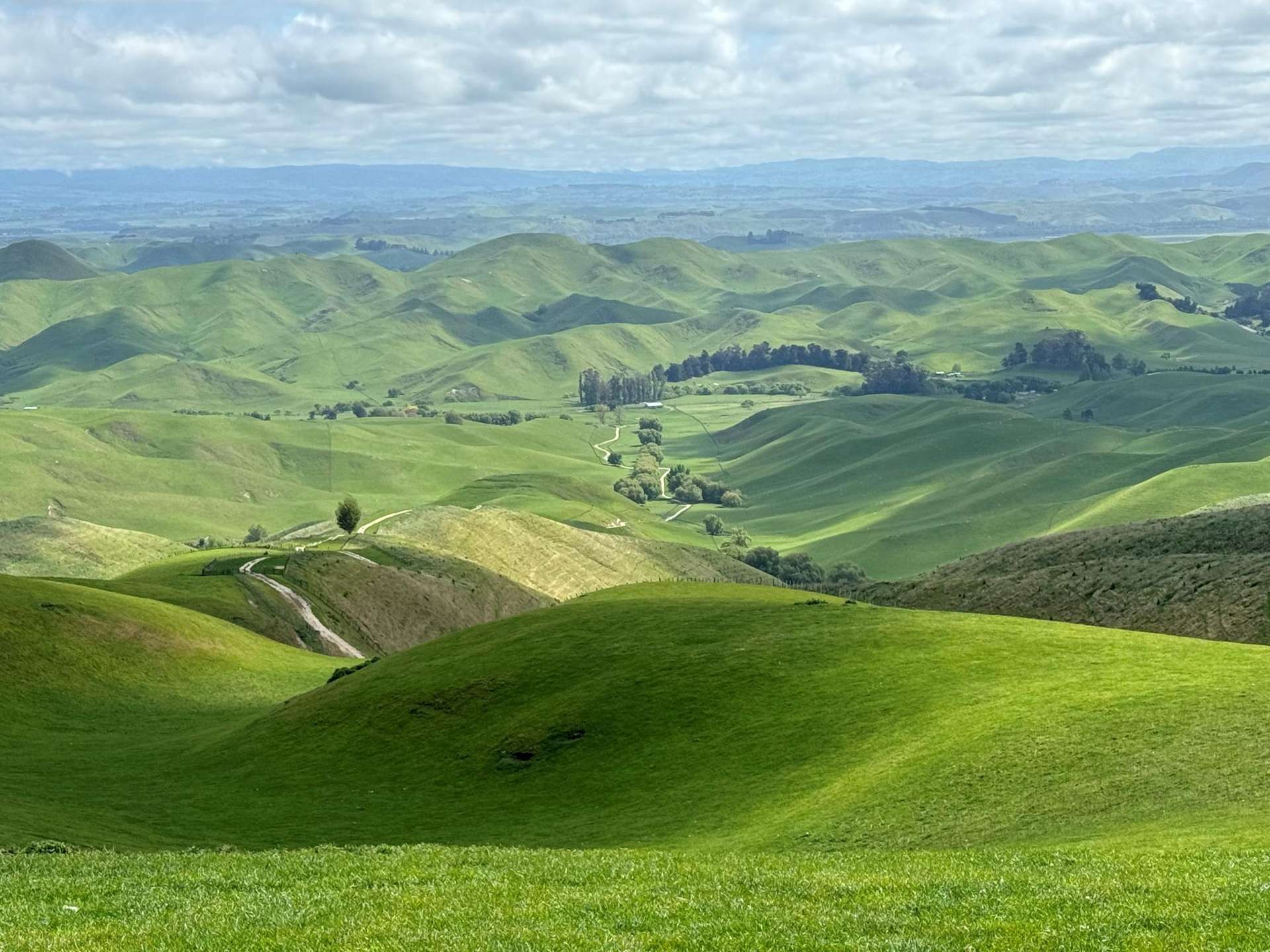 989 Raukawa Road Raukawa_0