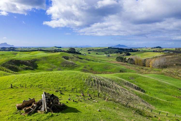 North Camp Road Waipu_6