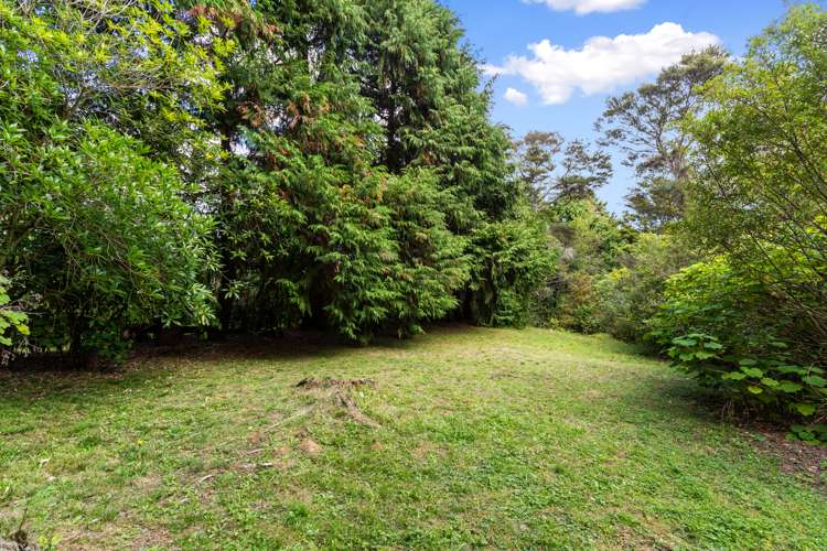 20 King Street Te Aroha_21