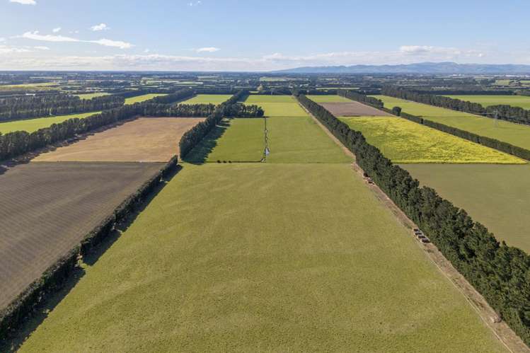 Sandy Knolls Road West Melton_7