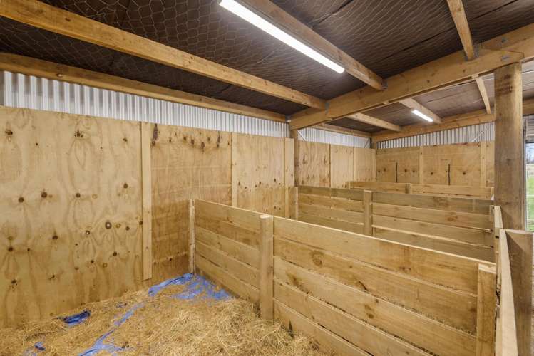 11 Horrell Road, Mandeville Gore_19