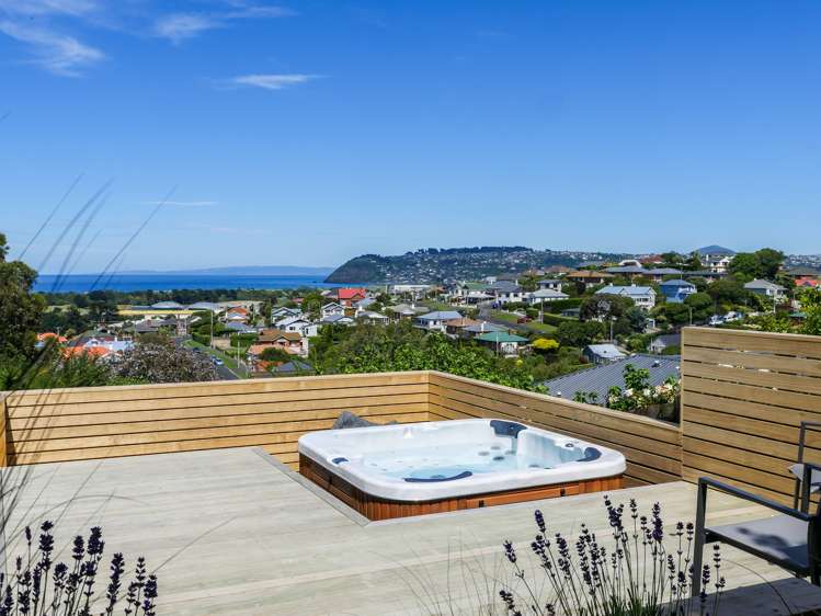 53a Spottiswoode Street Tainui_8