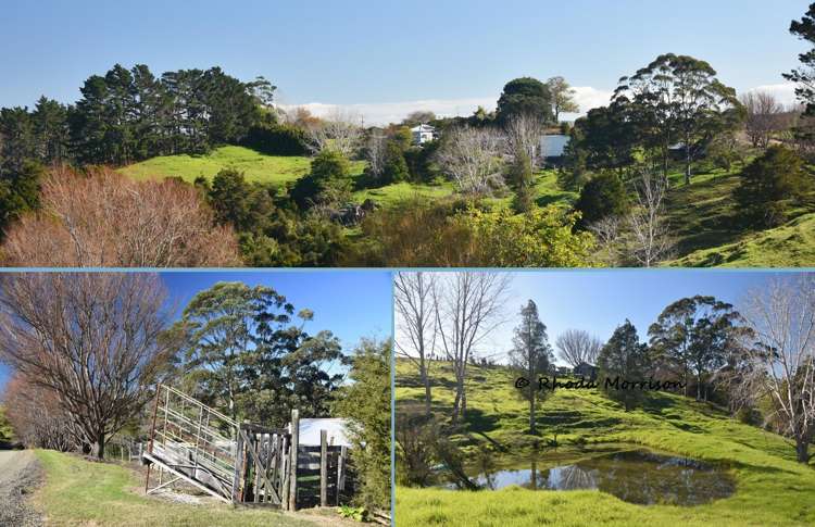 330 Franklin Road Paparoa_40