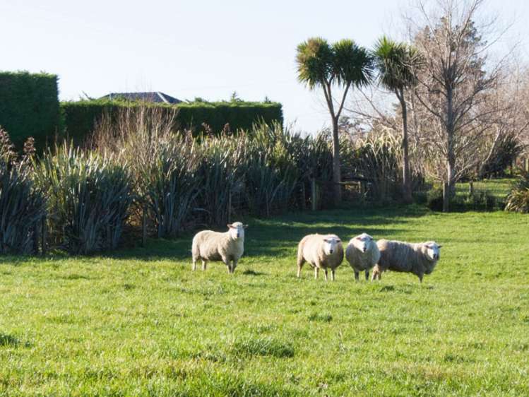 542 Flora East Makarewa_11