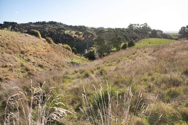 84B View Road Halcombe_4