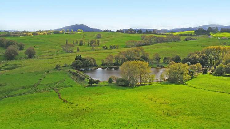 Kaiwaka-Mangawhai Road Kaiwaka_8